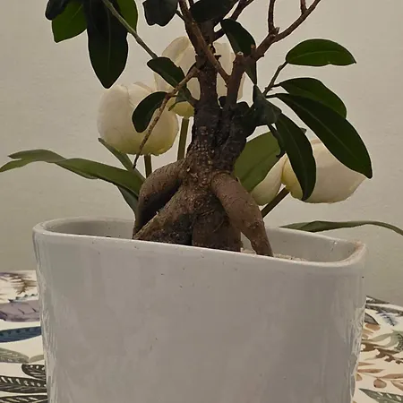 La Dimora Di Achille 아파트 바리